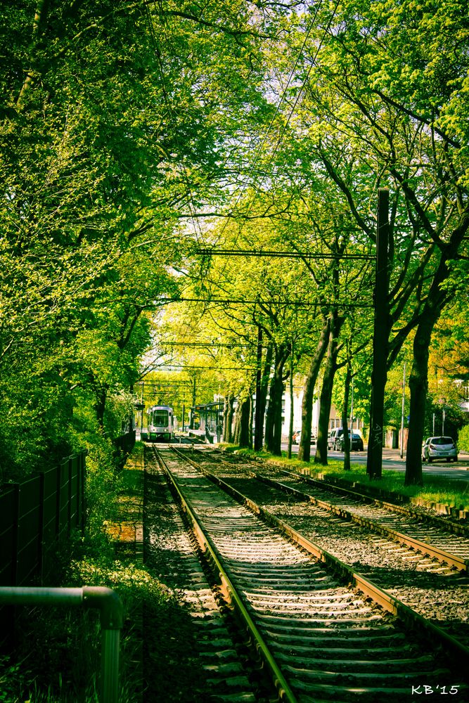 Straßenbahn Herrenhäuser Gärten