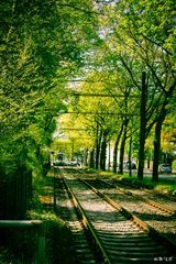 Straßenbahn Herrenhäuser Gärten