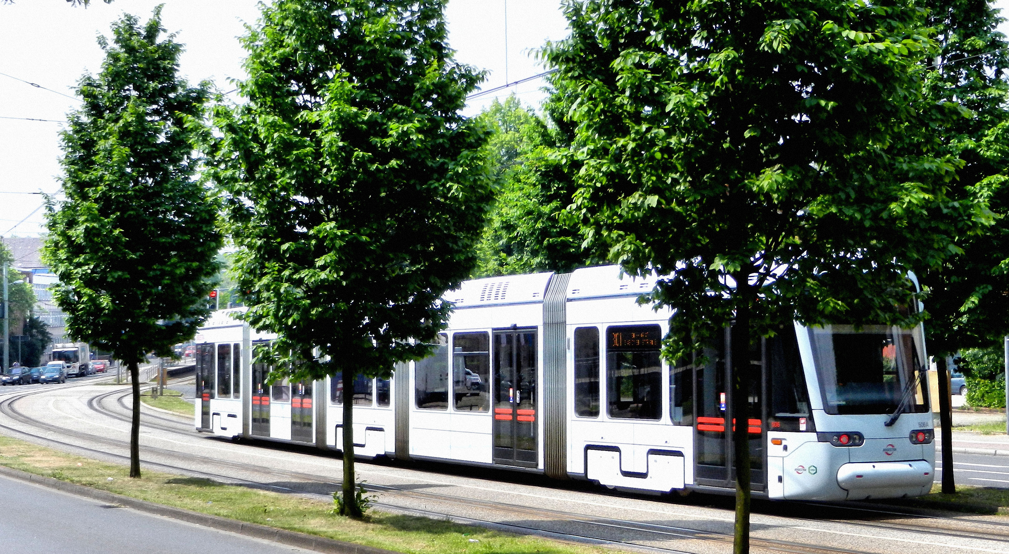 Straßenbahn im Grünen