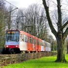 Straßenbahn im Grünen