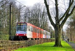 Straßenbahn im Grünen