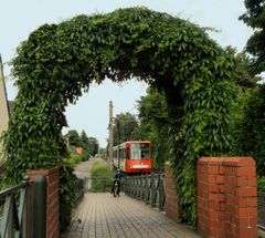 Straßenbahn im grünen Bereich