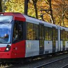 Straßenbahn im Herbst