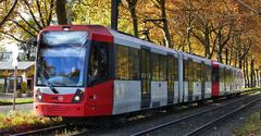 Straßenbahn im Herbst