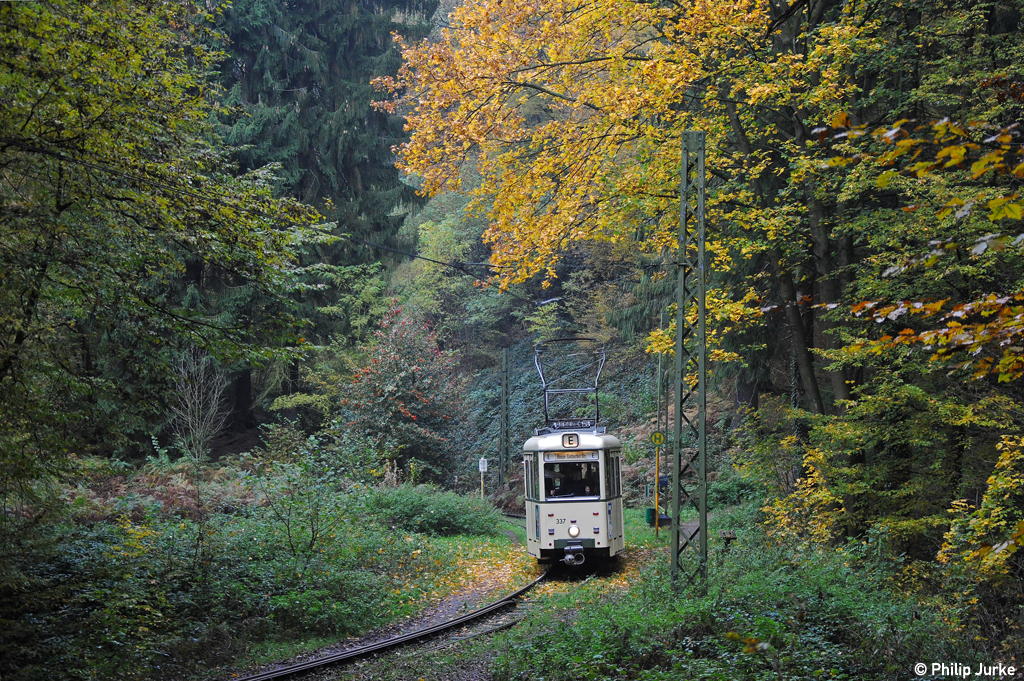 Straßenbahn im herbstlichen Wald