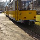 Straßenbahn im Kurpark