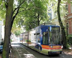 Straßenbahn im sommerlichen Bonn