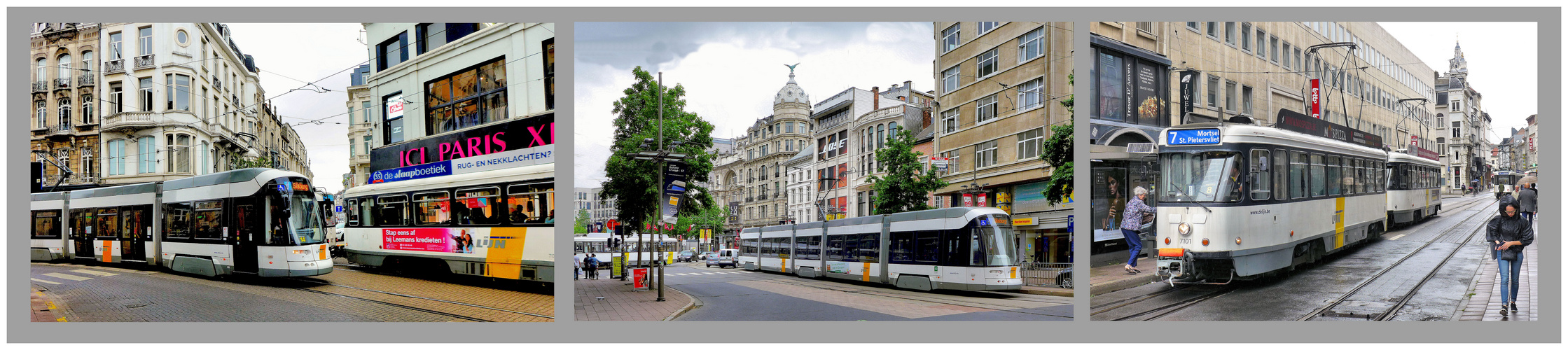 Straßenbahn in Antwerpen