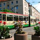 Straßenbahn in Brandenburg