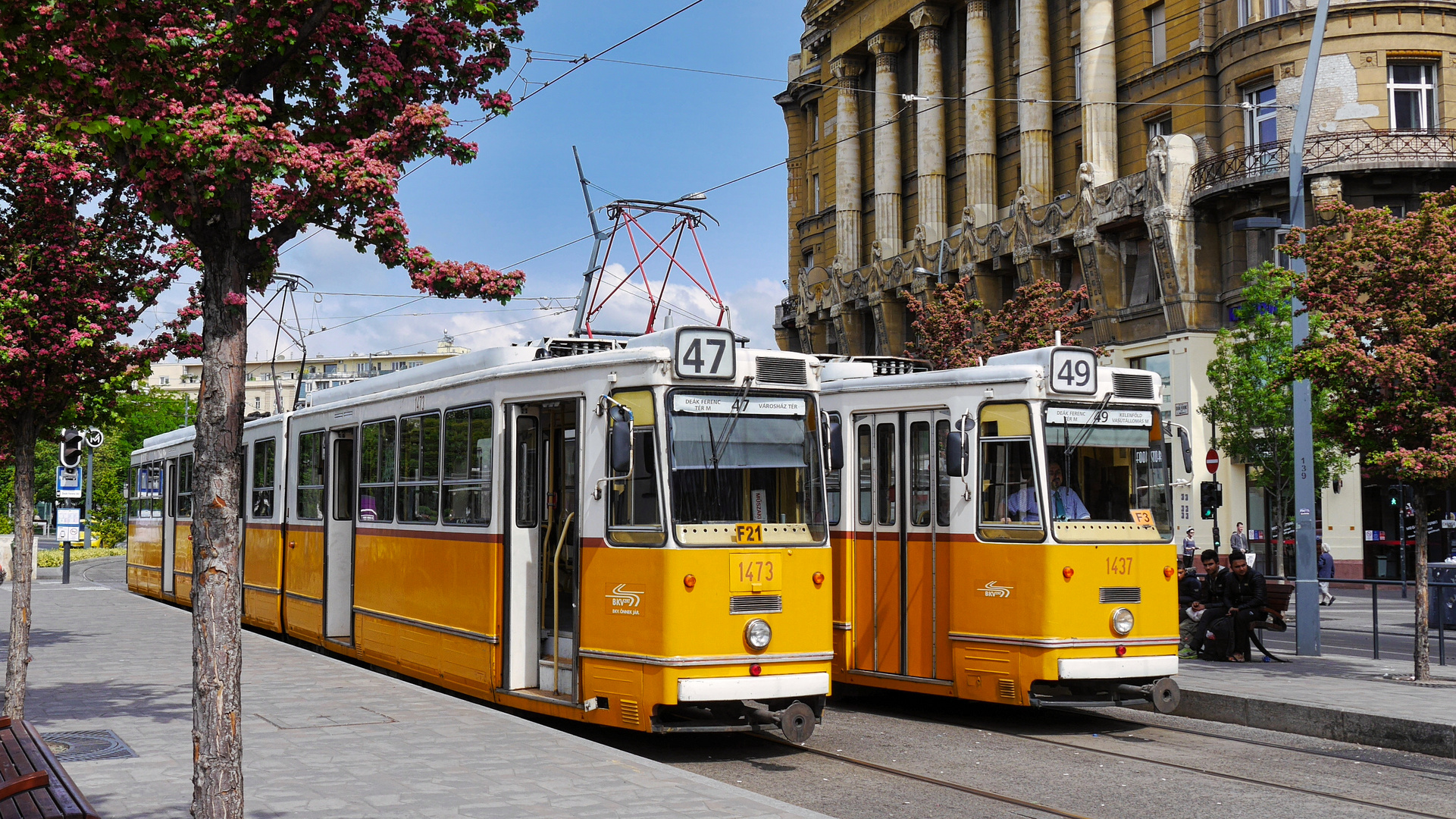 Straßenbahn in Budapest