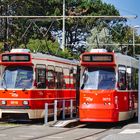 Straßenbahn in Den Haag