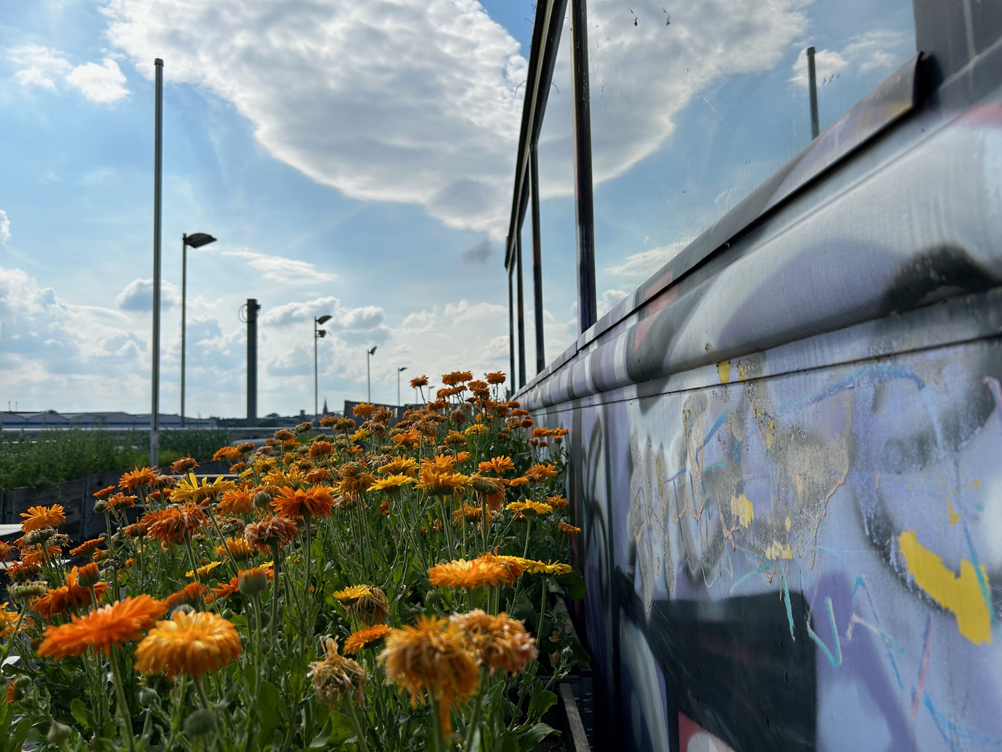 Straßenbahn in der Gemuesewerft