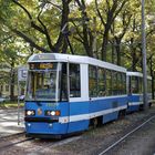 Straßenbahn in Wroclaw (Breslau)