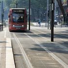 Straßenbahn - Köln