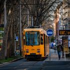 Strassenbahn Linie 51 an Haltestelle Lessingstrasse - Mainz