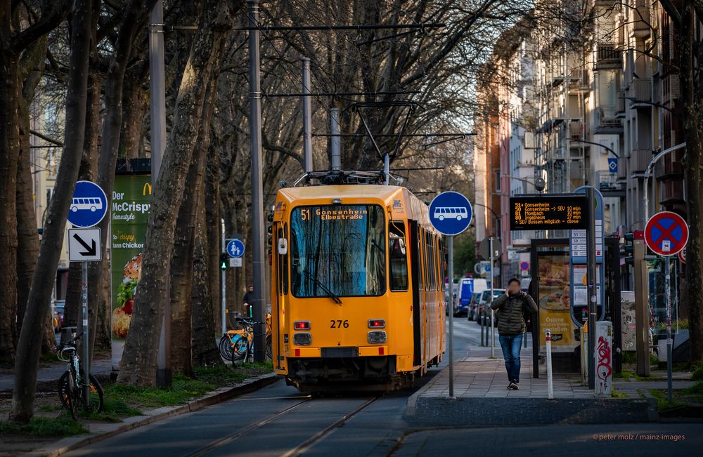 Strassenbahn Linie 51 an Haltestelle Lessingstrasse - Mainz