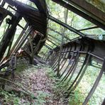 Strassenbahn mitten im Wald II...