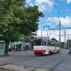 Straßenbahn Tallinn (2)