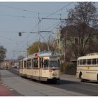 Straßenbahn trifft Bus