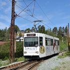 Strassenbahn Trondheim