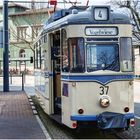 Straßenbahn "Wilde Zicke" in Naumburg (Saale)