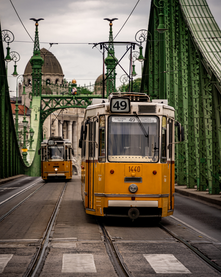 Straßenbahnen auf der Freiheitsbrücke