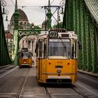 Straßenbahnen auf der Freiheitsbrücke