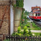 Straßenbahnflair in Wernigerode