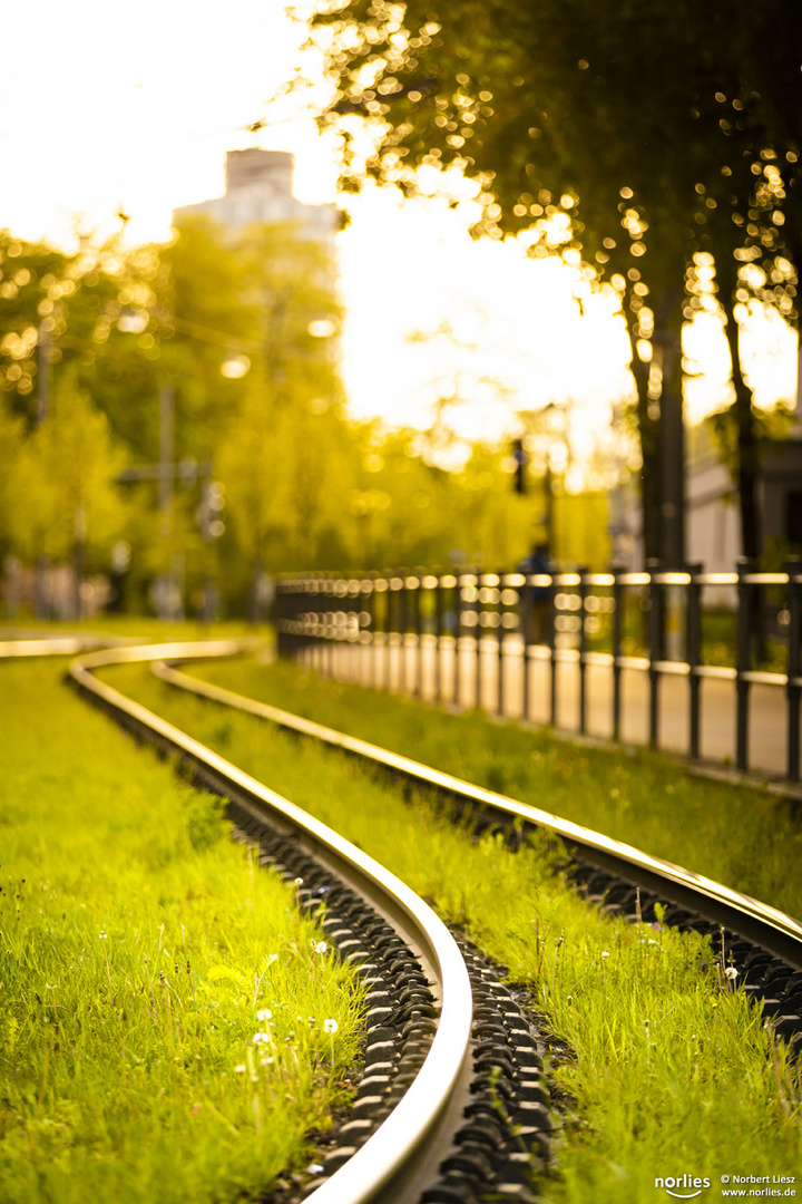 Straßenbahngleise