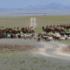 Straßenblockade in der Mongolei