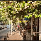 Strassencafe in TelAviv