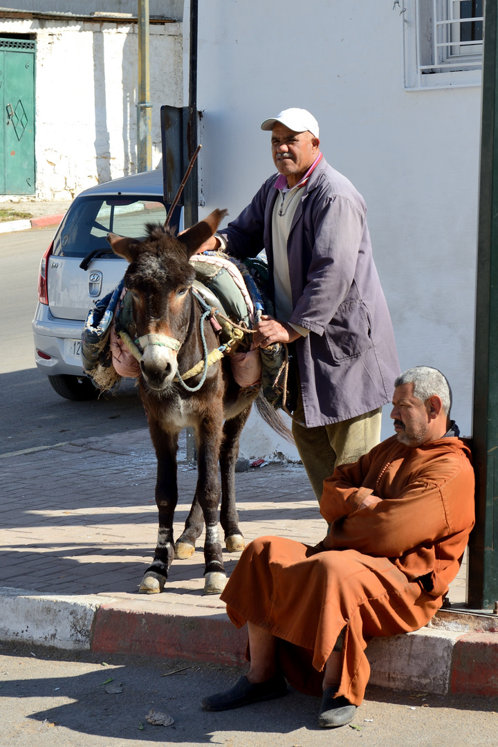 Straßenfoto in Moulay Idriss