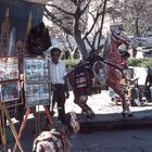 Straßenfotograf in Guadalajara