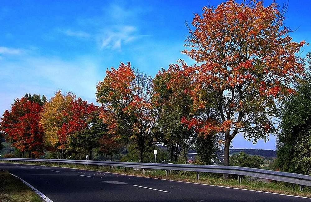 Strassenherbst ...