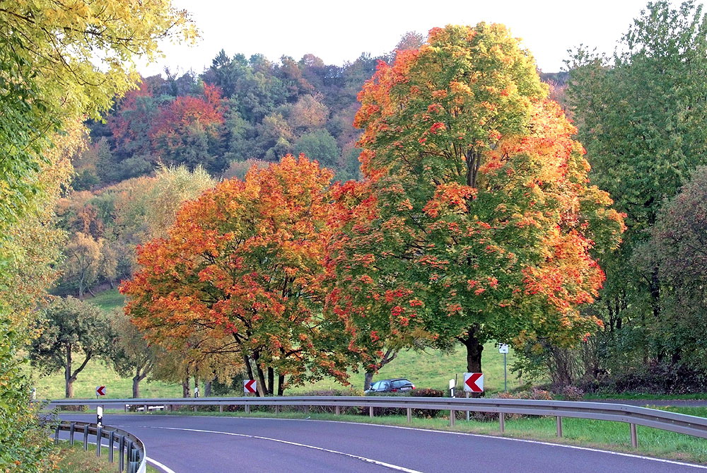 Strassenherbst...