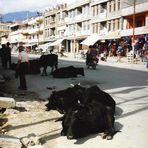 Strassenimpressionen in Pokhara