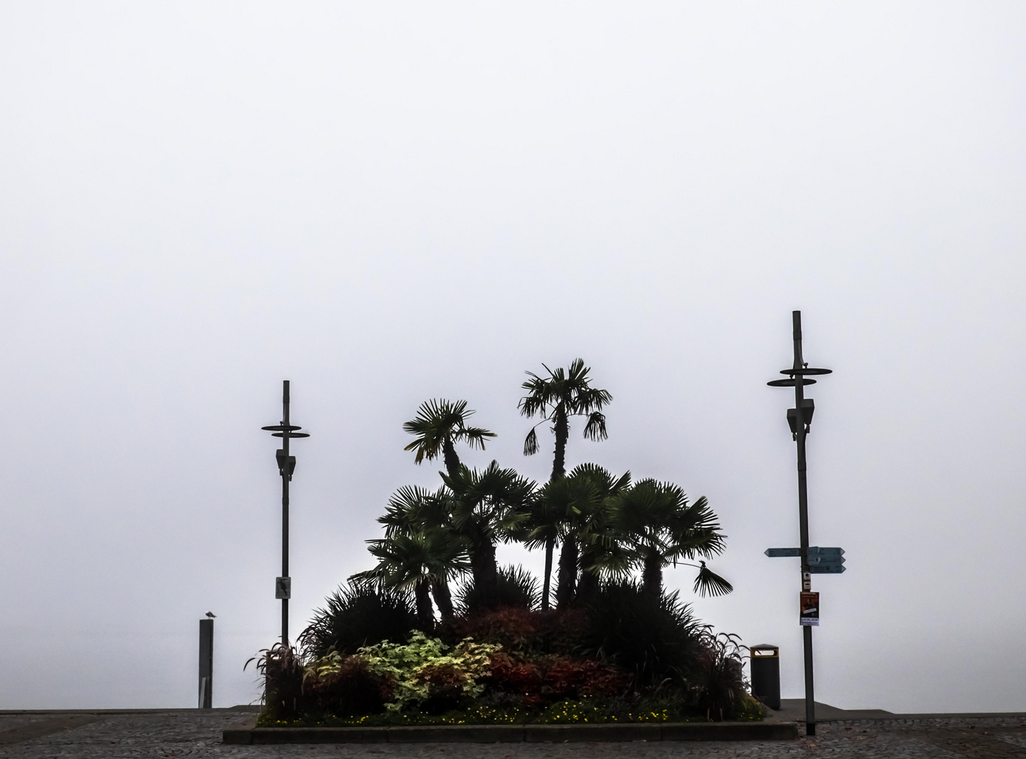 Straßeninsel im Nebel