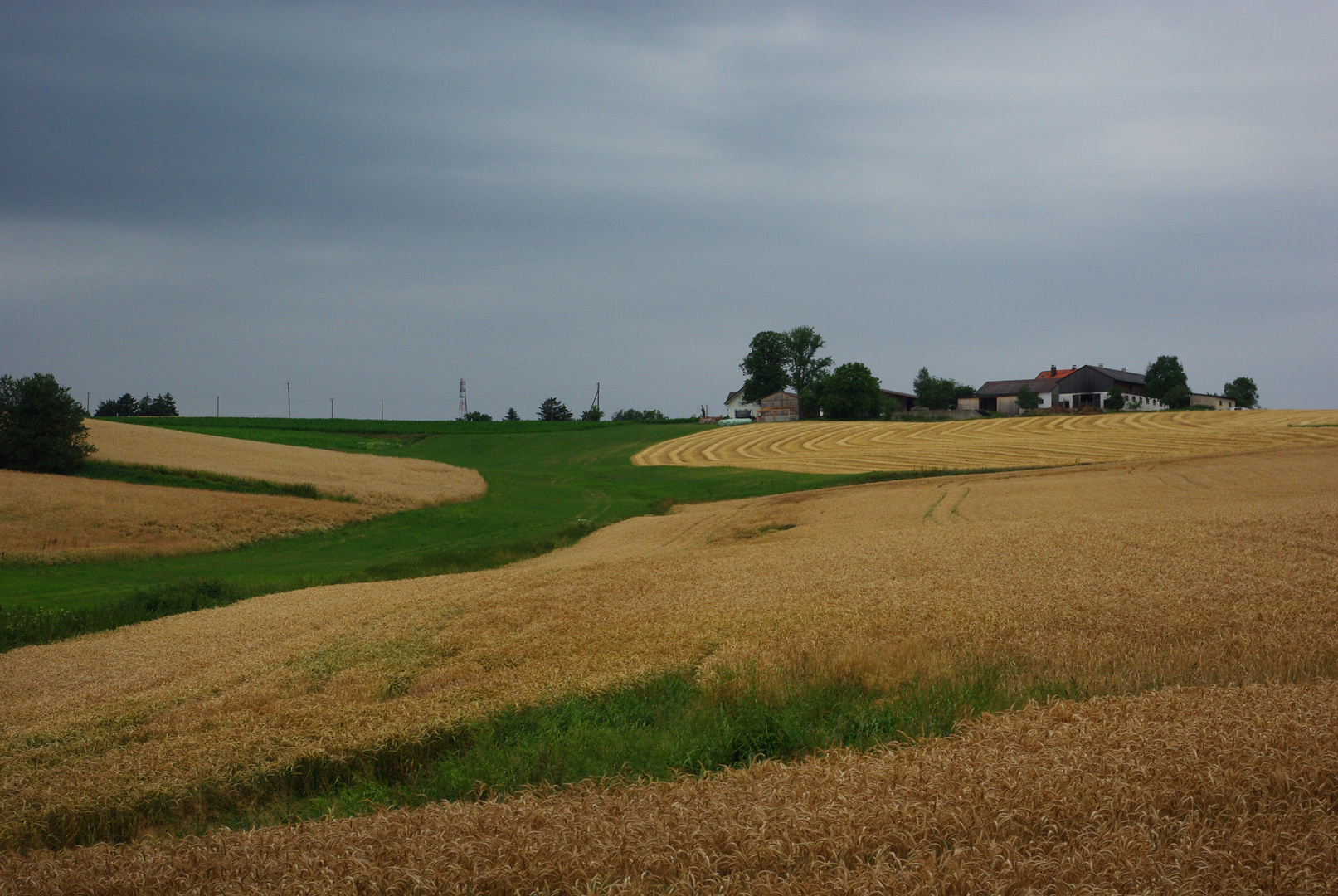 "Strassen"kreuzung im Grünen