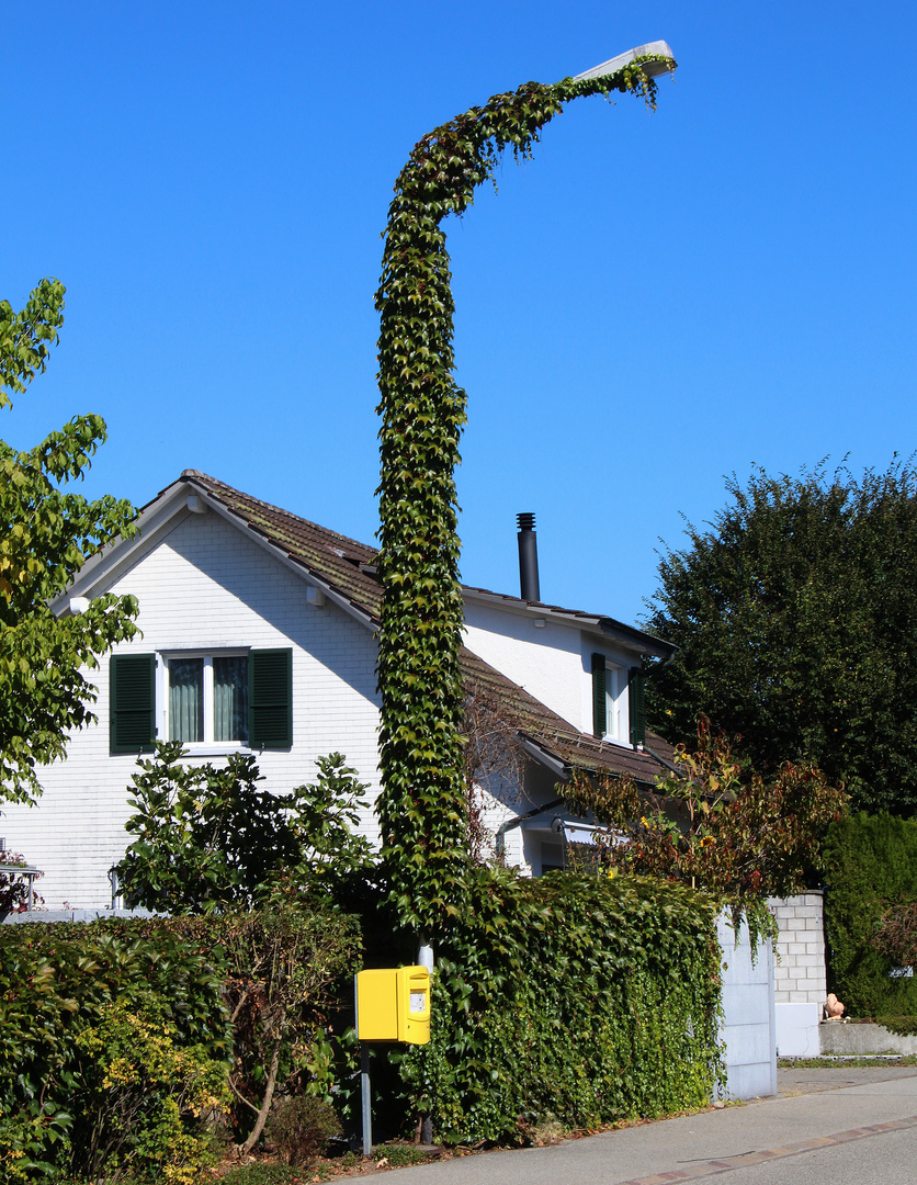 Strassenlaterne im Efeu-Look