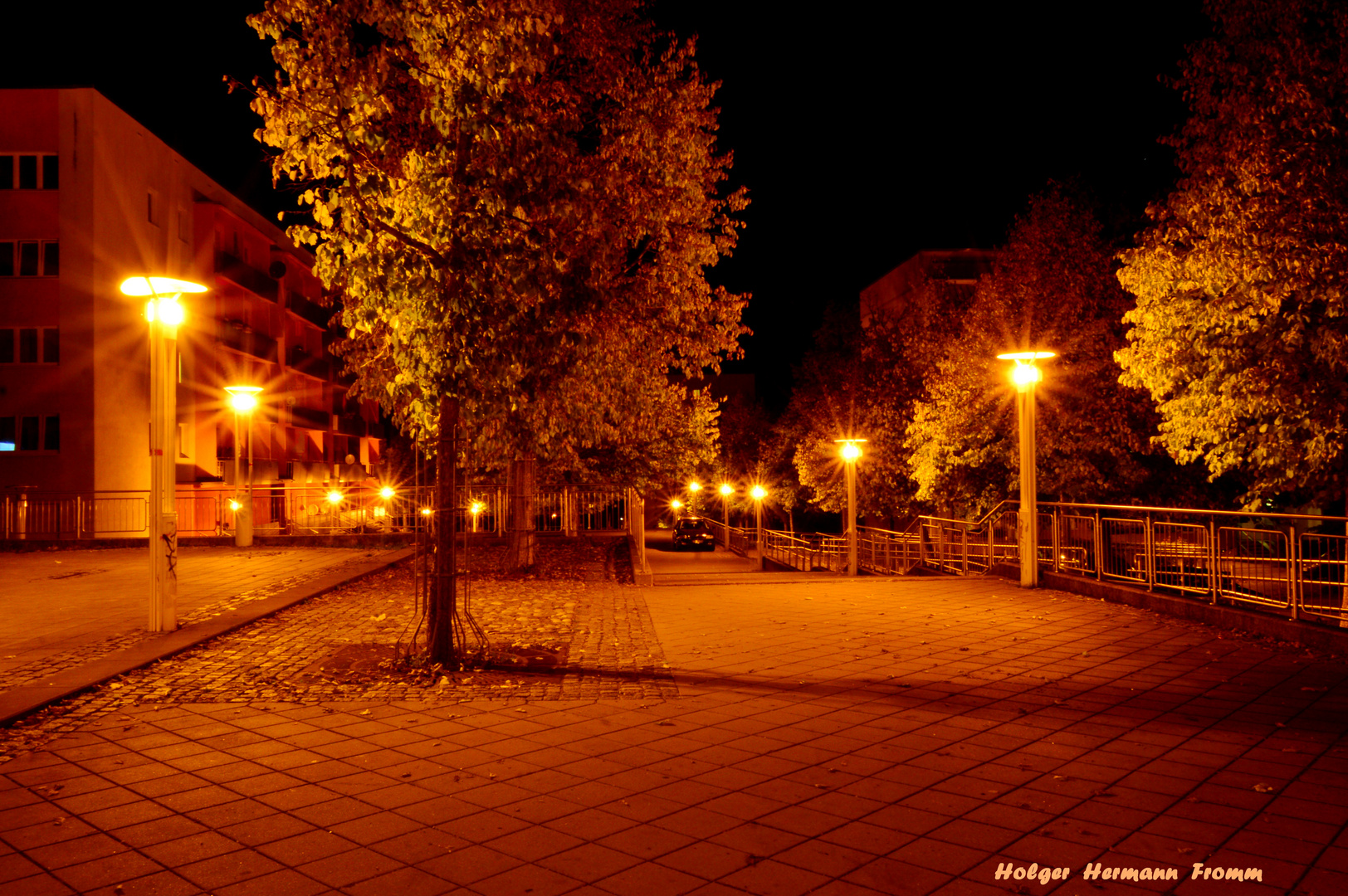 Straßenlaternen bei Nacht in Gotha  , Rohrbachstraße (Westviertel Gotha )