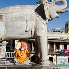 Straßenleben in Indien 