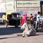 Straßenleben in Indien 