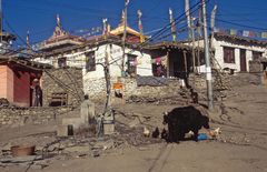 Straßenleben in Muktinath