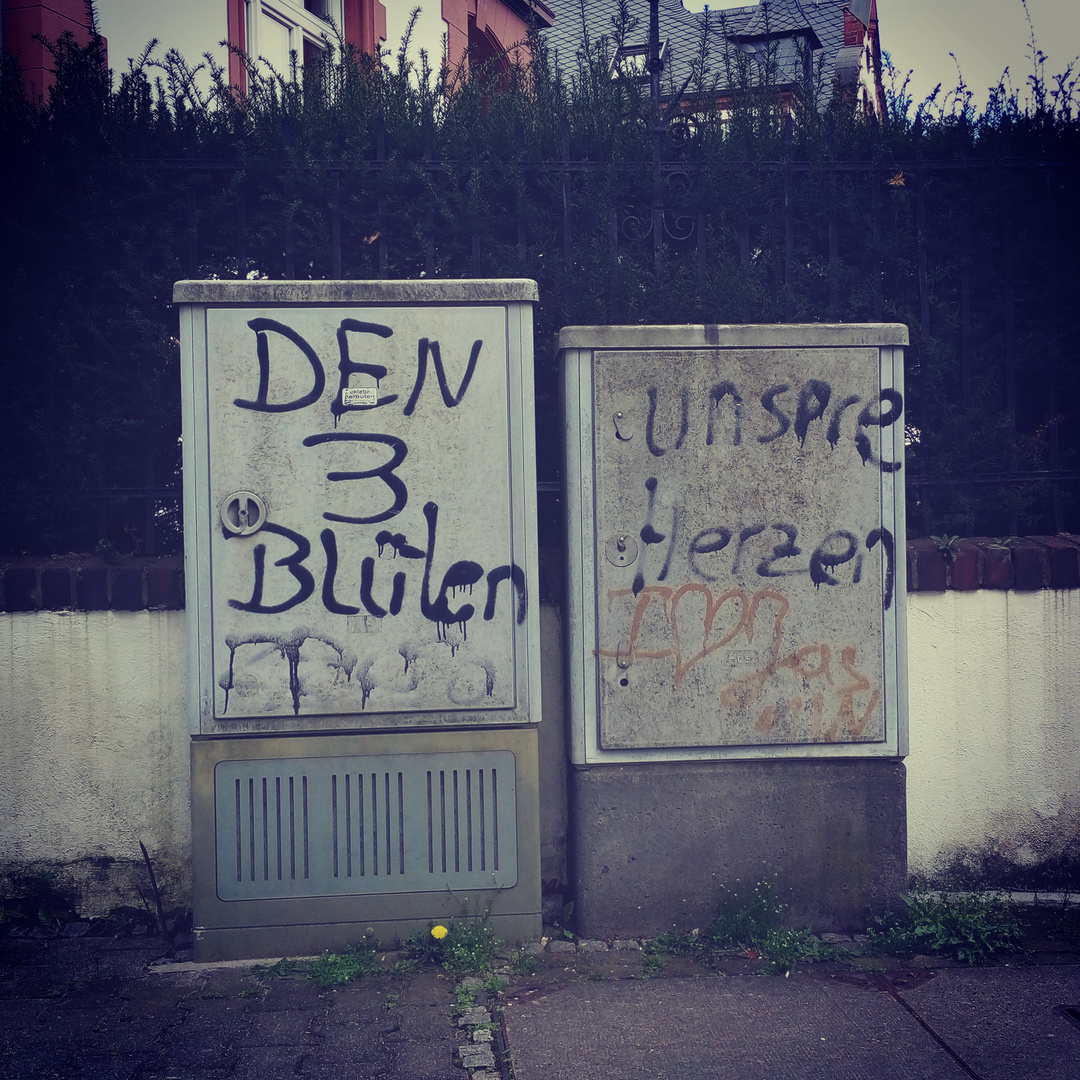 Straßenlyrik. "Den drei Blüten unsere Herzen"