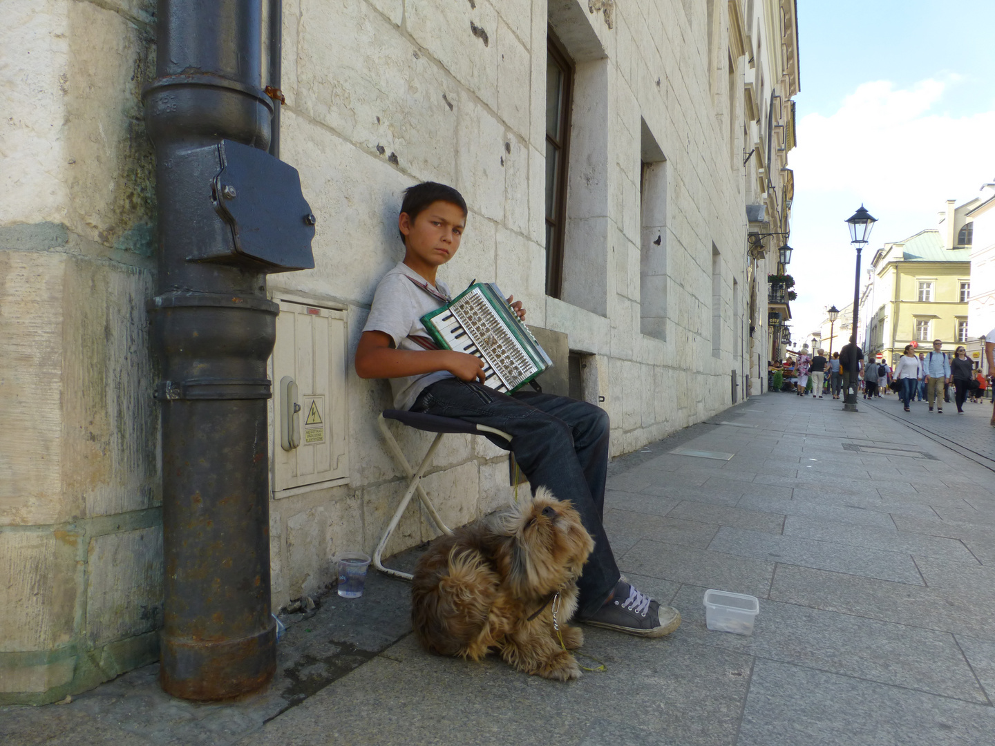 straßenmusikant in krakow