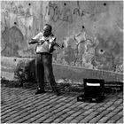 Straßenmusikant in Prag