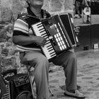 Straßenmusiker im Hafen Chania