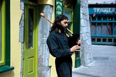 Strassenmusiker in Galway