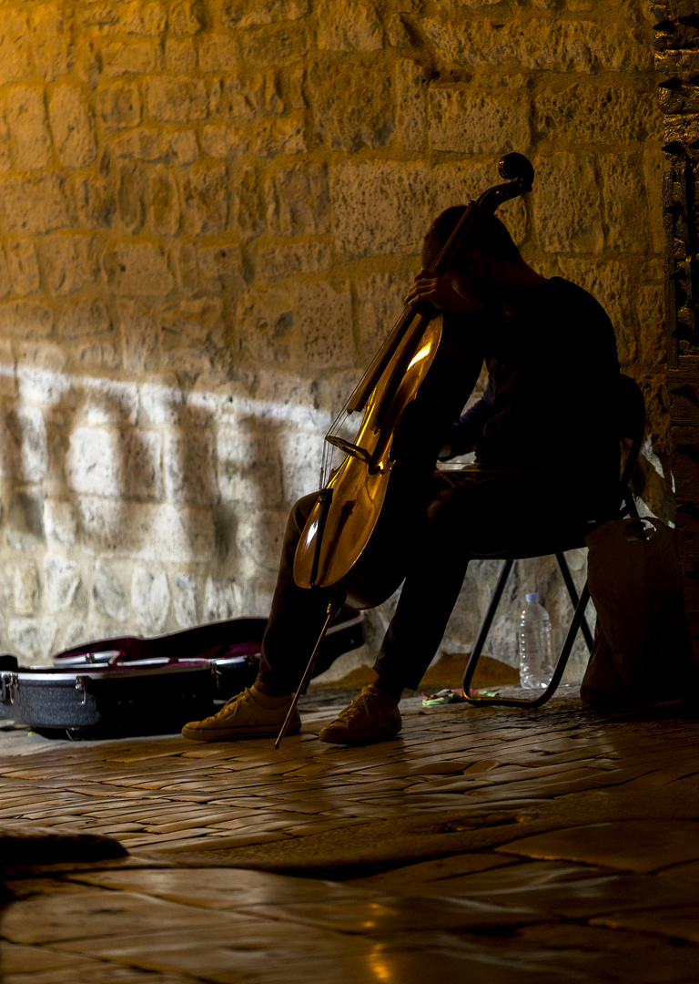 Straßenmusiker in Zadar [Kroatien]