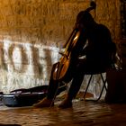 Straßenmusiker in Zadar [Kroatien]